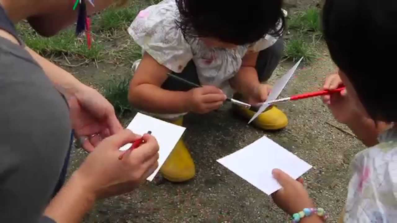 agriculture ecosystems and environment Exploring Food, Earth, Happiness with Eco Artists Patrick Lydon and Suhee Kang