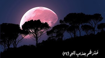 ١٠ رمضان - سورة التوبة - يُرِيدُونَ أَن يُطْفِئُوا نُورَ اللَّهِ بِأَفْوَاهِهِمْ