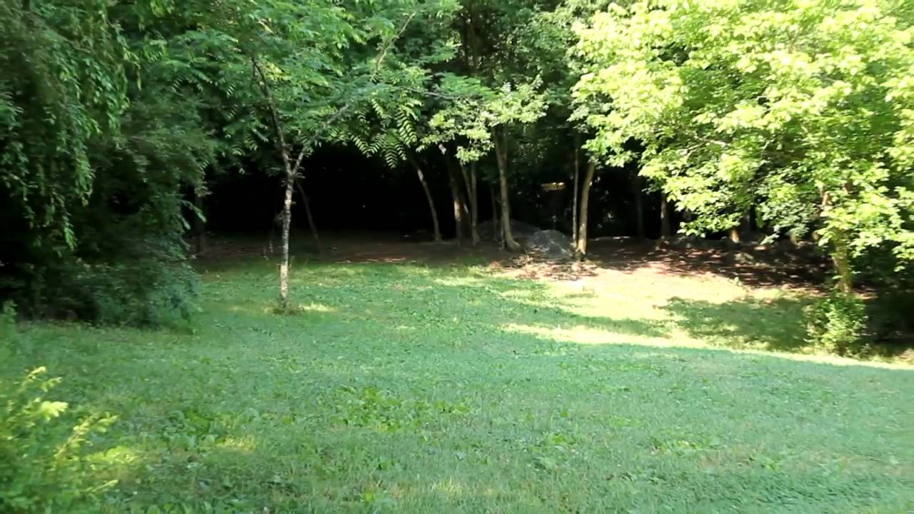 Disc Golf course review Victor Ashe, Knoxville Tennessee YouTube