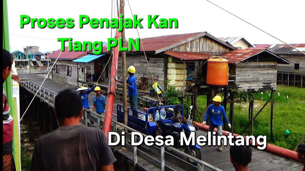 Proses Awal Mula PenajakKan Tiang Pln Di Desa Melintang, Kec, Muara Wis,Kab.Kutai Kartanegara Kukar.