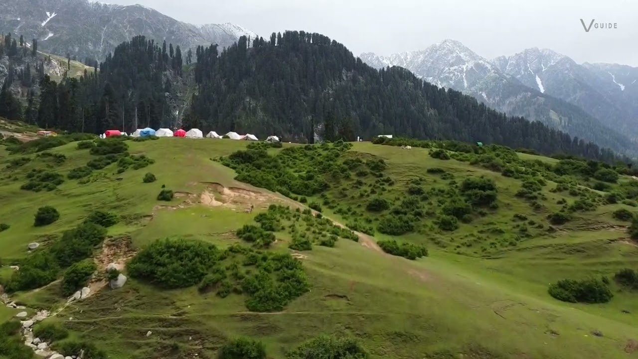 Gabin Jabba meadows,Swat Valley. 
