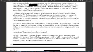 Formal Constitutional Complaint: Systemic Nonfeasance and Access to Justice Barriers Weld County