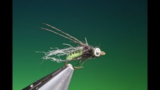 Fly Tying a Long Horn Caddis/Sedge Pupa with Barry Ord Clarke