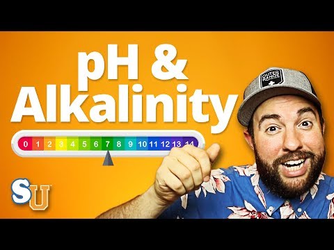 Video: Vad är alkalinitet i en pool?