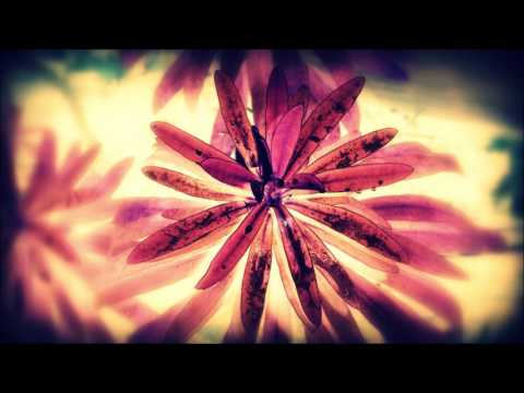 Germind — Germind - Shimmering At Sunrise