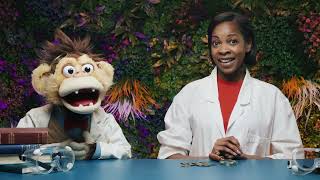 May 2026 | Week 1 | StoryLab Elementary Bible Story