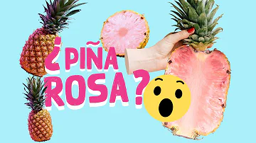 ¿Son reales las piñas rosas?