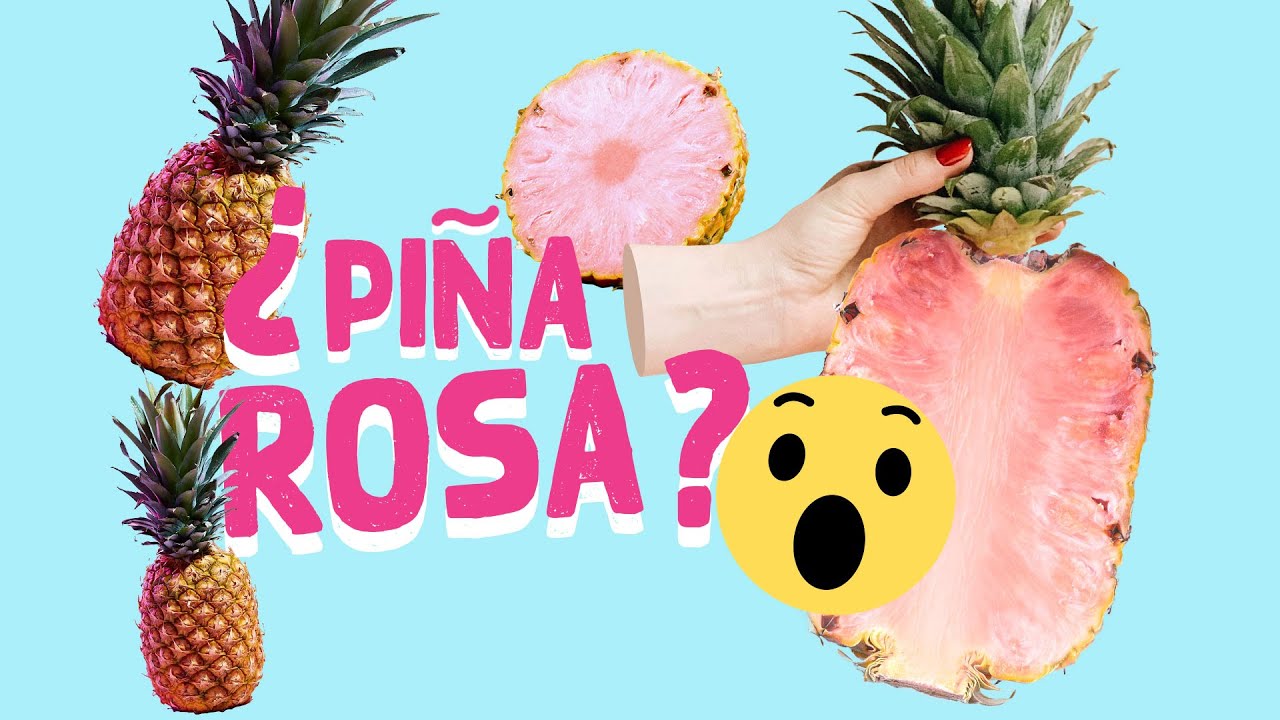 ¿Que hay detras de la piña rosa de del monte? - YouTube