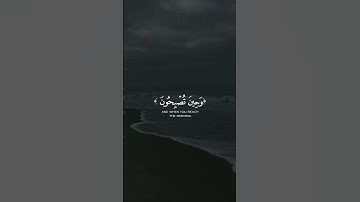 سورة الروم | قارئ عبدالرحمن مسعد #🍁