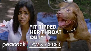 Deadly Dog Attack | S12 E01 | Law & Order
