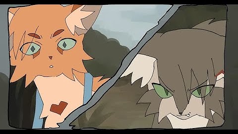 The Chain - Longtail MAP part 4