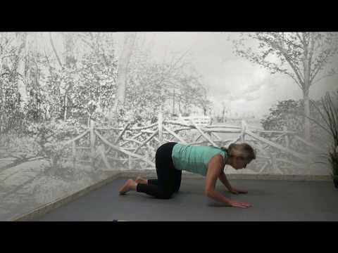 Dynamic Bidalasana - Dynamisch gestrekte kat - Yoga oefeningen