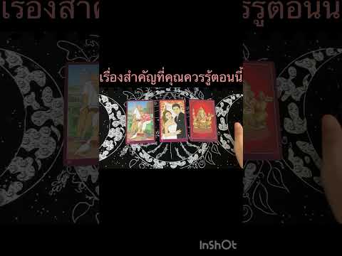 TheOracleTarotแจกโปรพับจีอินเดียโปรฟรี.ยางกะโปรงVIPดูด oracle pickacard pickadeck tarot ดูดวงไพ่ทาโรท์ ดูดวงความรัก ดูดวง