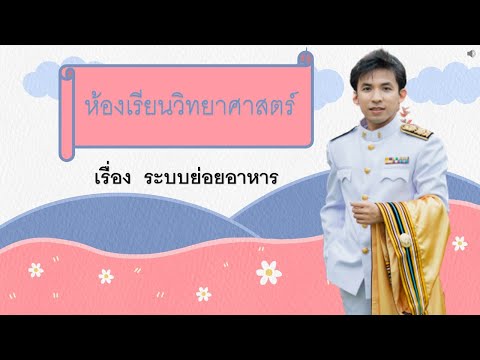 หน้าที่ของอวัยวะต่างๆในส่วนที่เป็นทางเดินอาหาร  ป 6