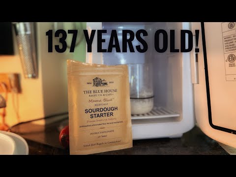 Let’s Wake Her Up: Freeze-Dried Sourdough Starter from Blue House Bagel Co!