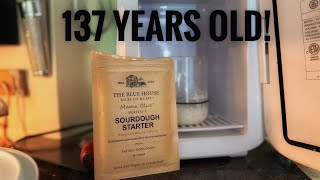 Let s Wake Her Up Freeze-Dried Sourdough Starter from Blue House Bagel Co