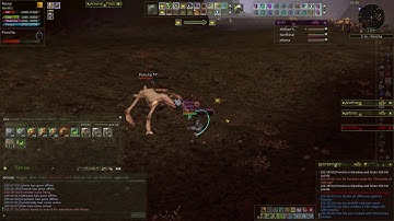 Ryzom Solo Hunt: Poncha