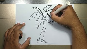How to draw CARTOON PALM TREE in 5 minutes