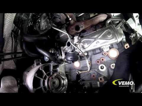 AGR Ventil Abgasrückführung Kühler Reparatur Kit AUDI A3 8P Q3 TT 1.6 2.0 TDI