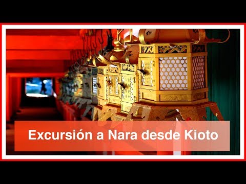 Video: 8 mejores excursiones de un día desde Kyoto