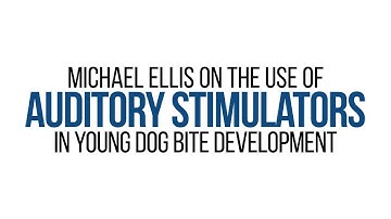 Auditory Stimulators in Developing Young Dogs in Bite Work with Michael Ellis