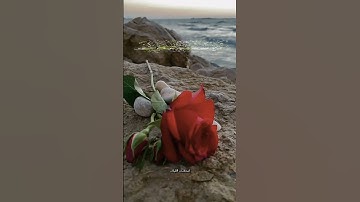 حالات قرآن _ قال إنما أشكوا بثی وحزنی إلى الله _ محمد هشام _ آيات من سورة يوسف