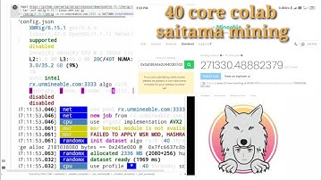 mining SAITAMA INU on google Colab // huge hashtags on tpu google Colab mining