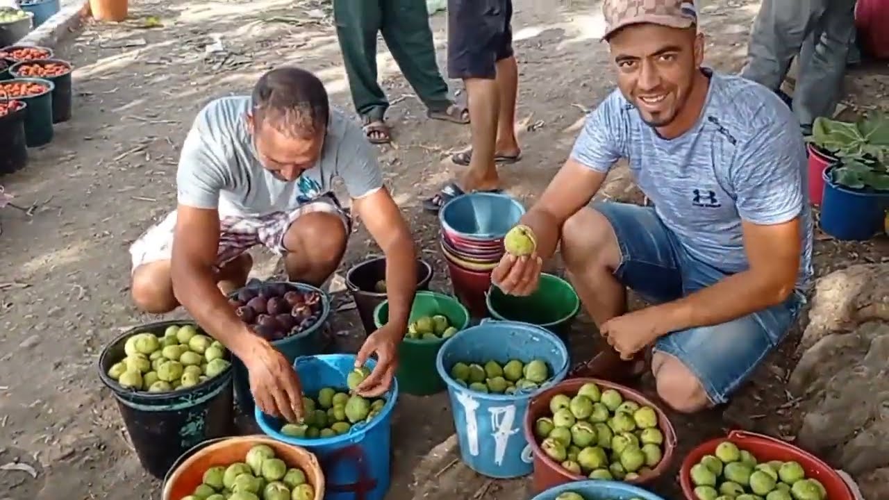 جولة في سوق السبت مصمودة  تمن الكرموس بلادي