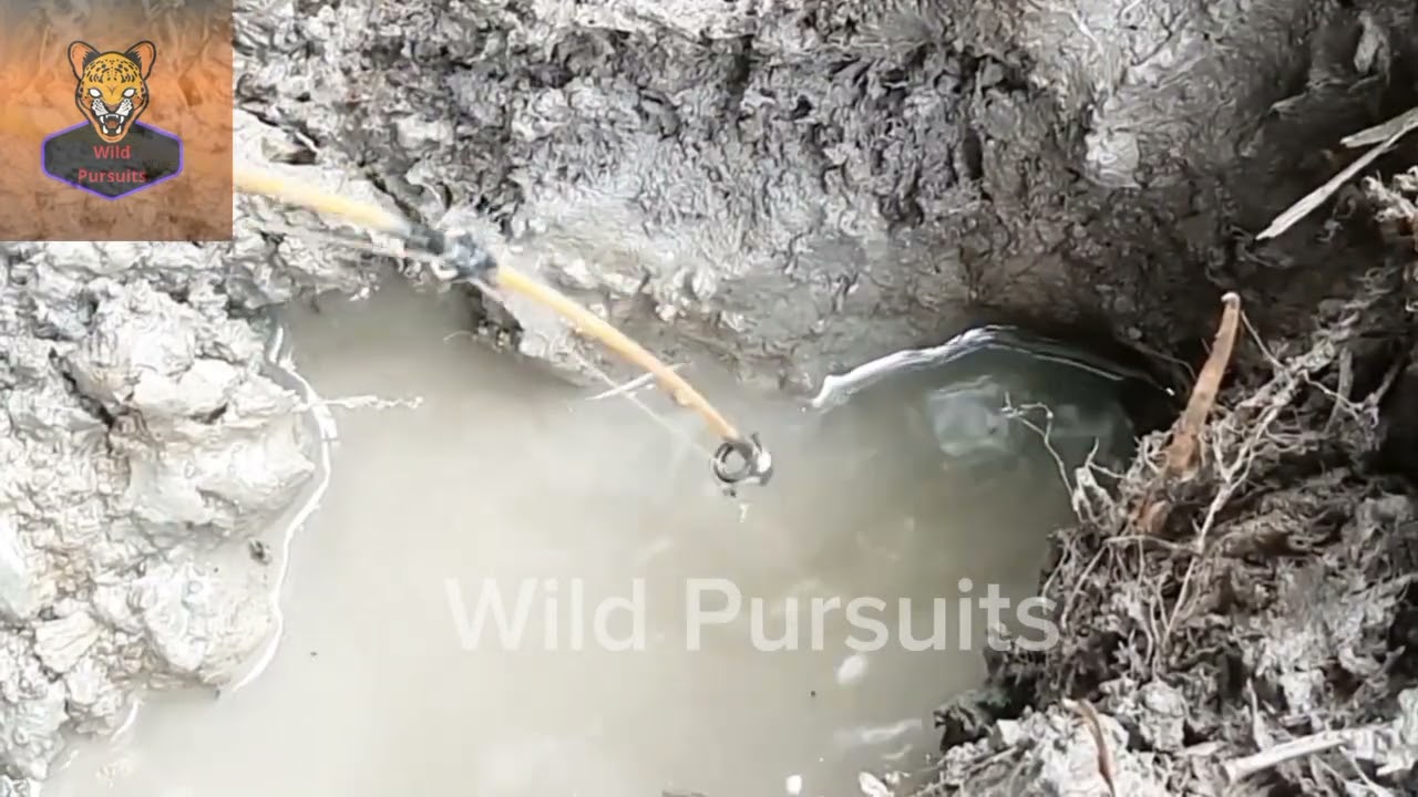 "Unlocking the Secrets of Eel Fishing: Expert Techniques Revealed