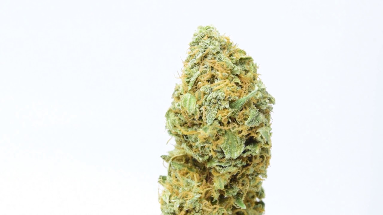 True Terpene Glass Papers