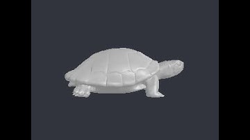 3D Model of turtle - file Turtle_t.stl
