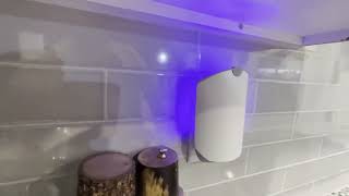 Zevo Flying Insect Refills for Indoor Light Trap  4 Light Trap Refill Cartridges Capture Fruit Flies