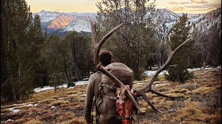 Backcountry Bull  Backpack hunt - Limitless 76
