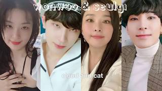 SIMILARITIES BETWEEN WONWOO & SEULGI 💙🌻🐈👐🏻