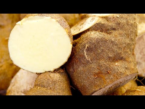 5 Incredible Health Benefits Of Yams