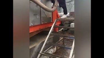 Hot Sale Grape Stem Removing And Crushing Machine Grape Destemmer Crusher