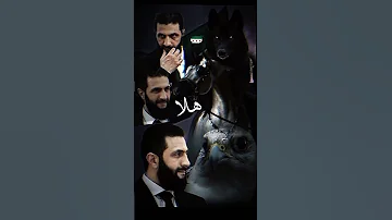 السيد الرئيس أحمد الشرع 