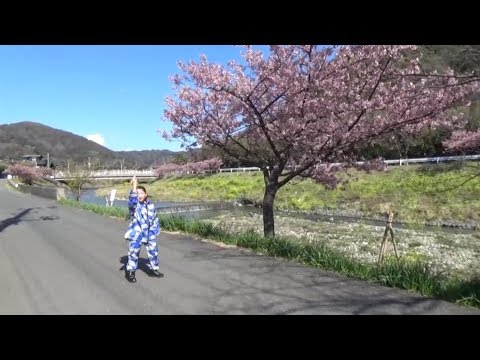 DA PUMP 桜  踊ってみた