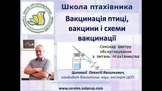 Про вакцинацію свійської птиці і схеми вакцинації