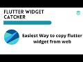 Flutter Widget Catcher chrome extension