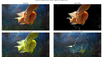 Object Detection | Color (Hue) Segmentation | HSV | python | Image Processing | opencv-python