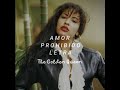 Selena - Amor Prohibido (Letra)