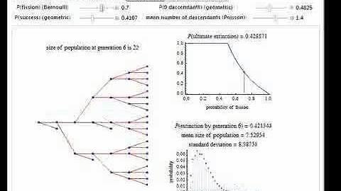 Simulating the Branching Process