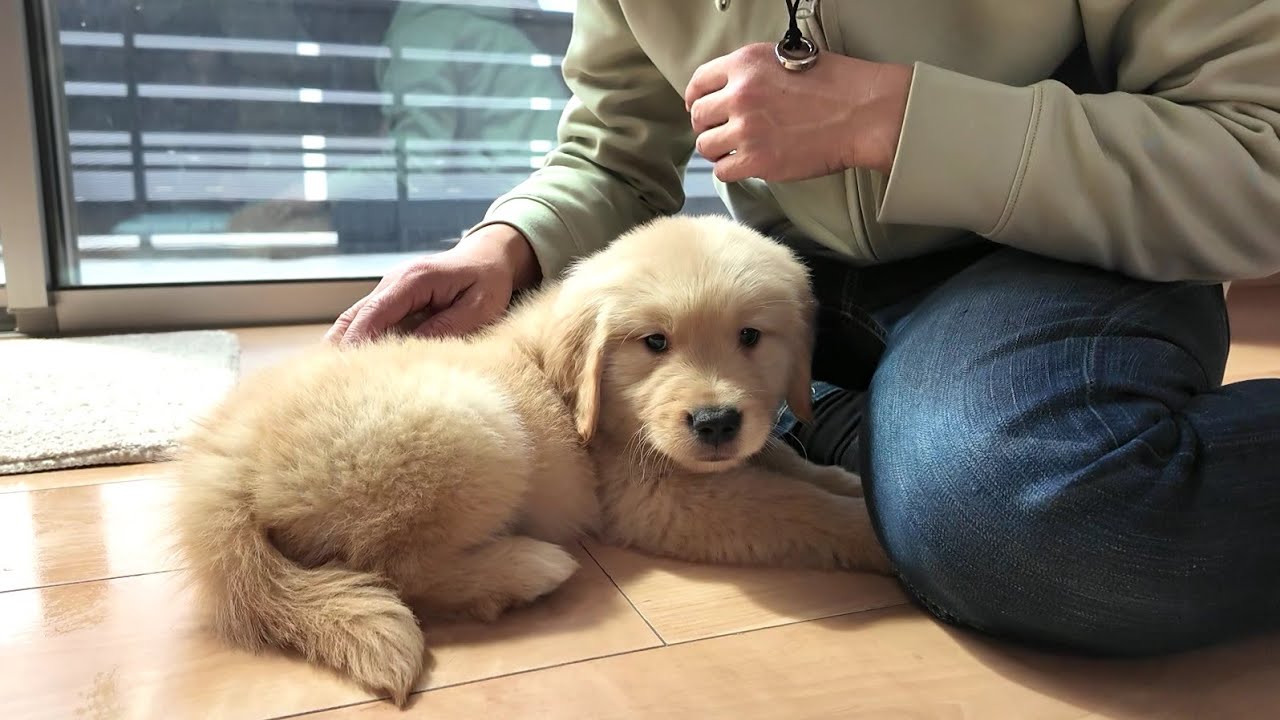 The first thing I teach you when you come home! If you do this