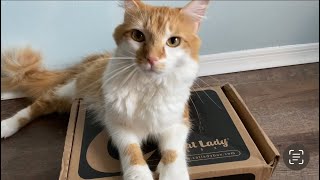 Our First Cat Lady Box Opening!