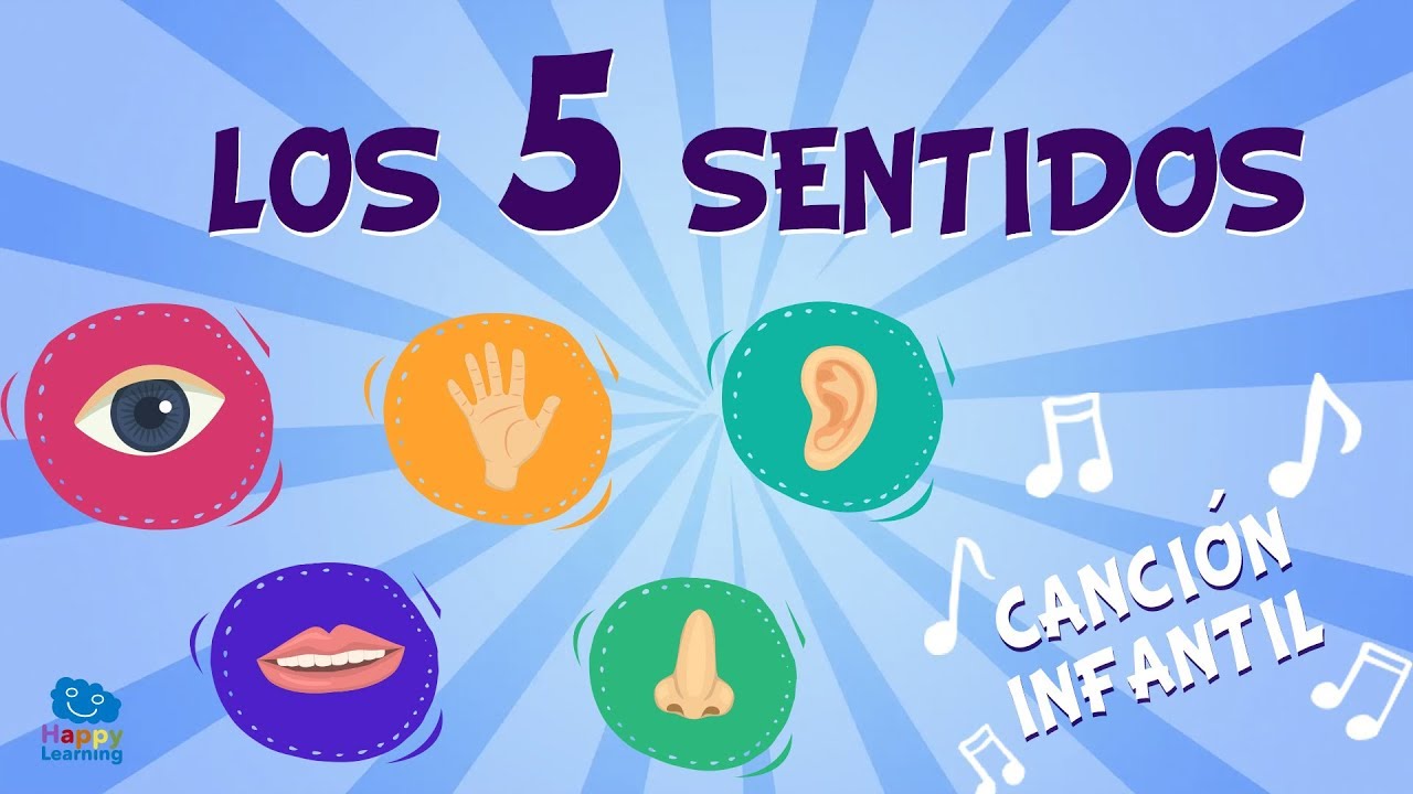 Los 5 sentidos  Canciones Educativas para Nios