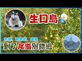 『生口島』 到了尾道,就要一起玩這座檸檬小島 | 生口島+尾道 1日遊 | 檸檬谷、鹽町商店街、耕三寺、未來心之丘、向上寺、貓之細道 | 交通與行程分享