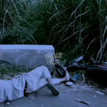 Kowe tak sayang-sayang Tegane Gawe AMBYAR 😂//STORY WA LUCU