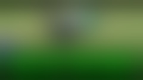 Best Fails of the Week 2 December 2015