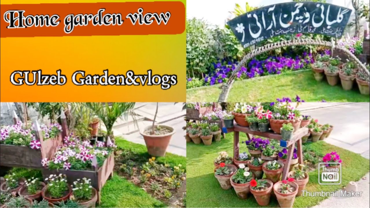The Most Beautiful Gardenes in the home!Home Garden - YouTube